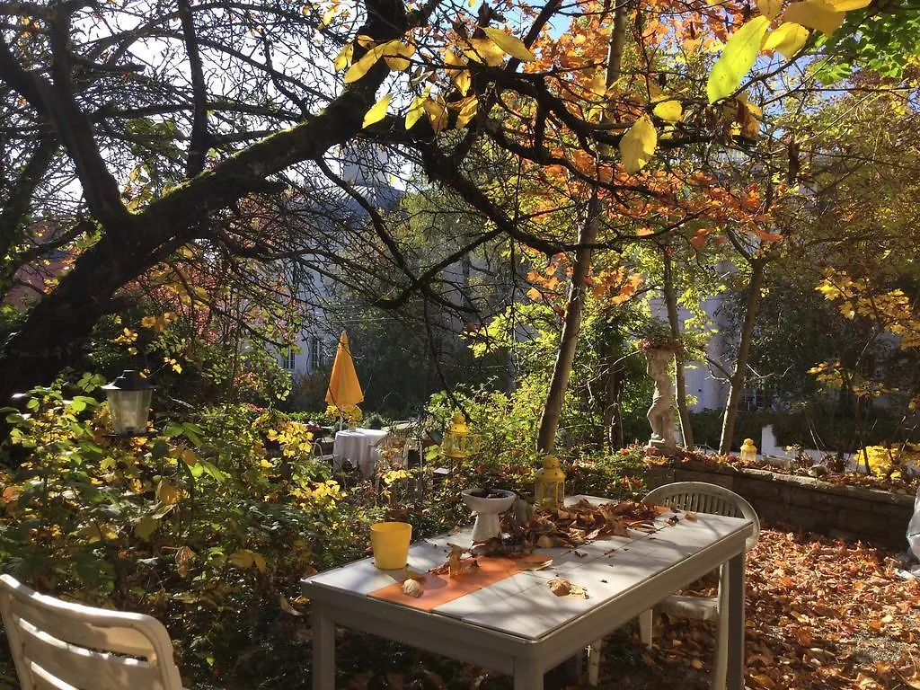 Garden Studio Apartment Zurichberg 0*, Zurich Switzerland