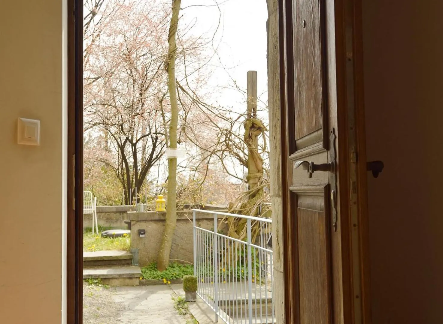 Garden Studio Apartment Zuerichberg ציריך