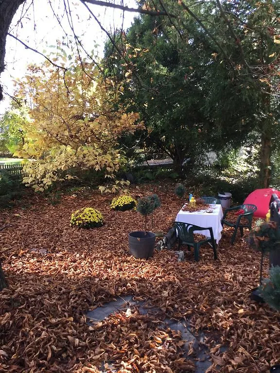 Garden Studio Apartment Zurichberg